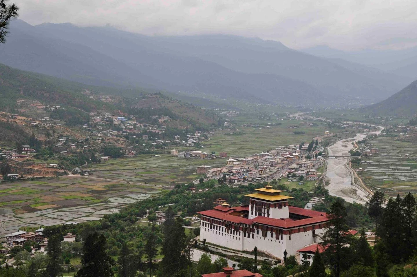 Druk Path Trek